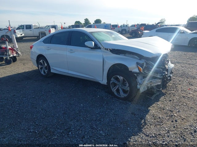 Salvage Honda Accord Image