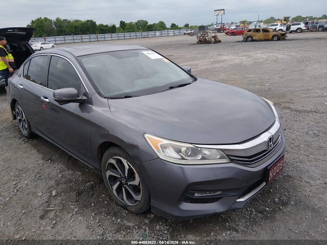 Salvage Honda Accord Image