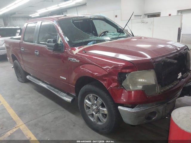 Salvage Ford F-150 Image