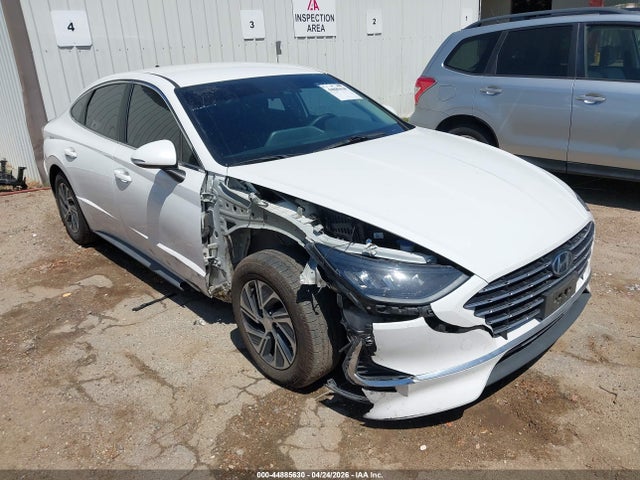 Salvage Hyundai SONATA Image