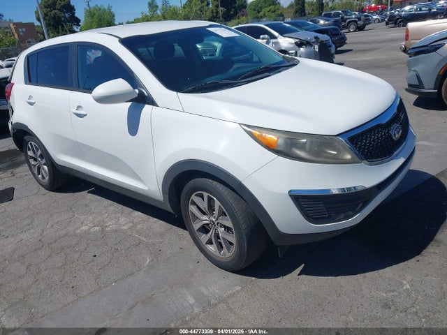 Salvage Kia Sportage Image