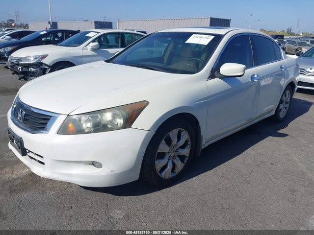 Honda Accord 3.5 Ex-l