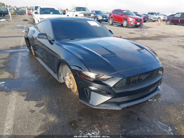 Salvage Ford Mustang Image