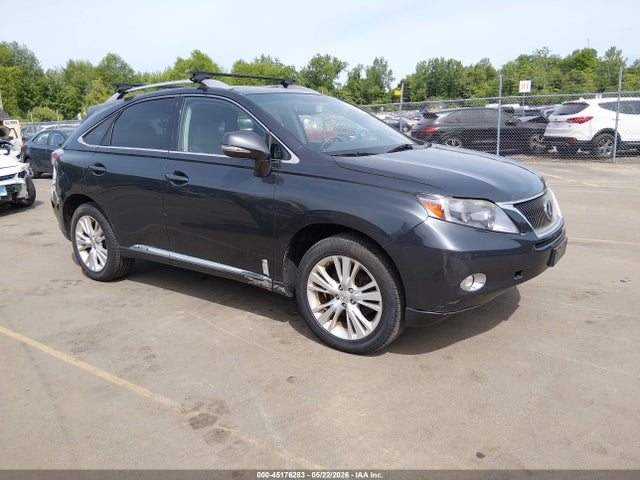 Salvage Lexus RX Image