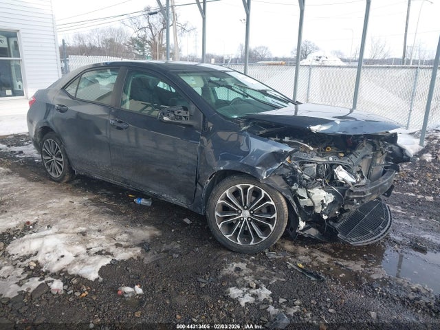 Salvage Toyota Corolla Image