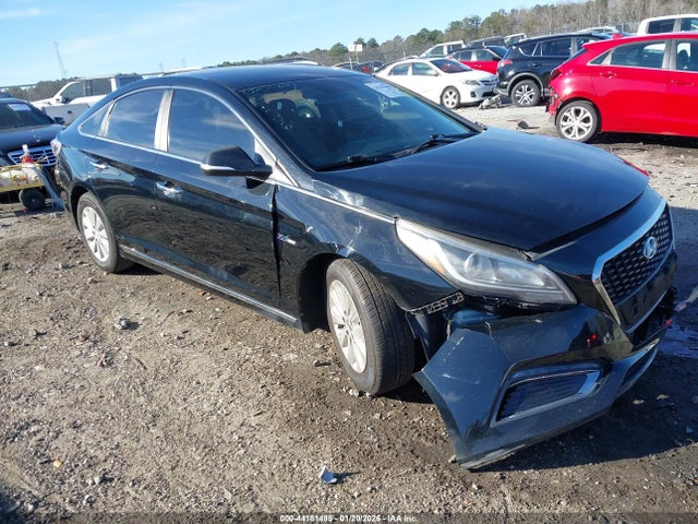 Salvage Hyundai SONATA Image