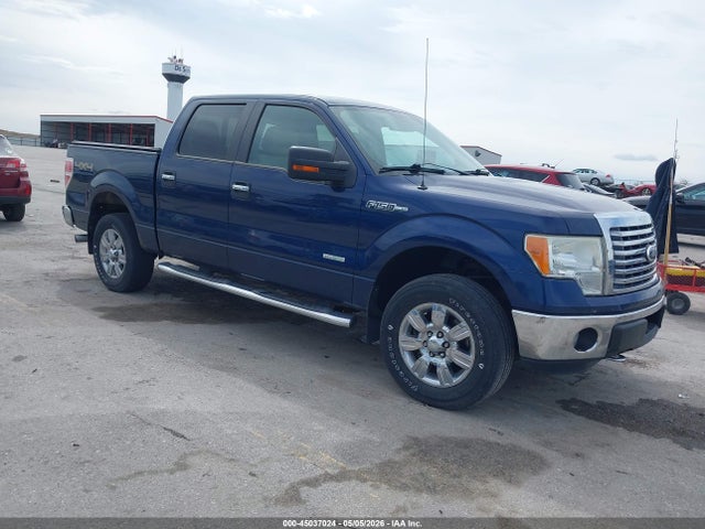 Salvage Ford F-150 Image