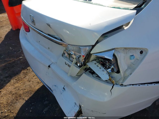 Honda Accord Ex-l V-6