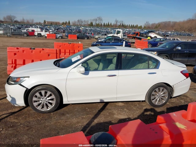 Honda Accord Ex-l V-6