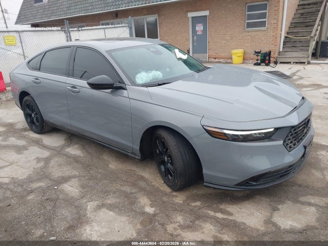 Salvage Honda Accord Image