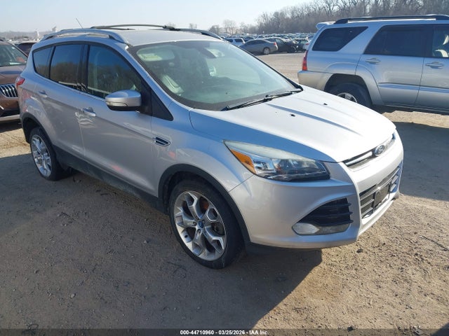 Salvage Ford Escape Image