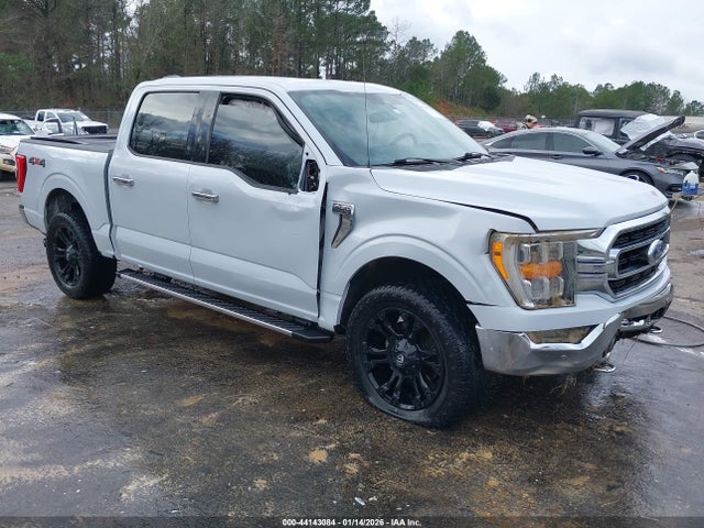 Salvage Ford F-150 Image
