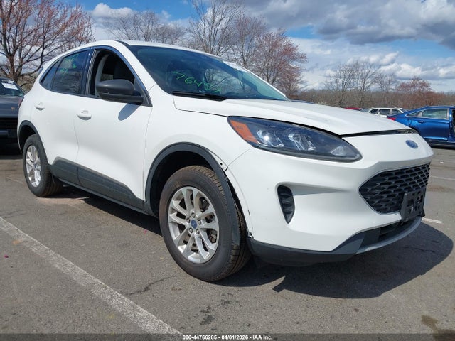 Salvage Ford Escape Image