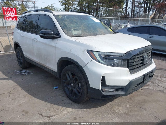 Salvage Honda Passport Image