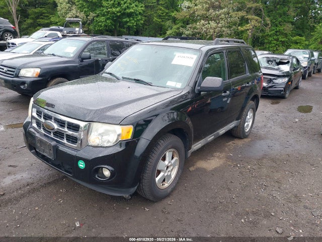 Ford Escape Xlt