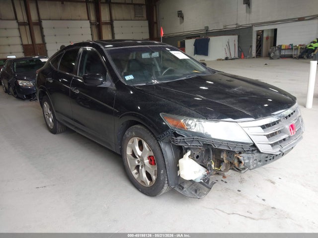 Salvage Honda Crosstour Image