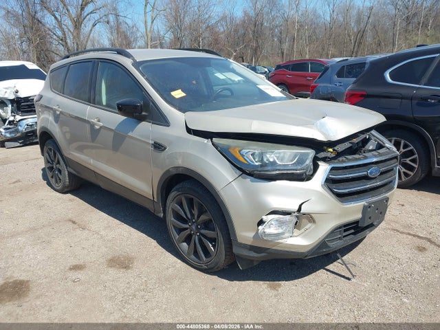 Salvage Ford Escape Image