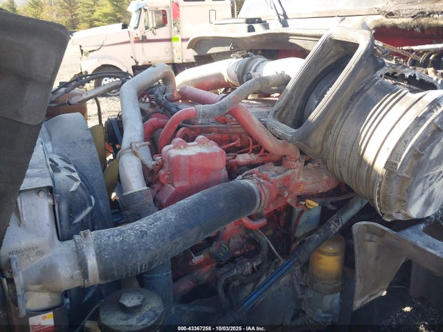 International Prostar