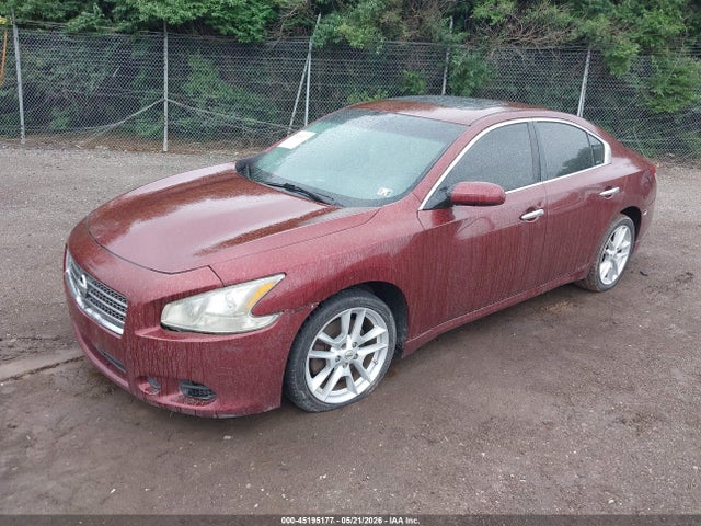 Nissan Maxima 3.5 S