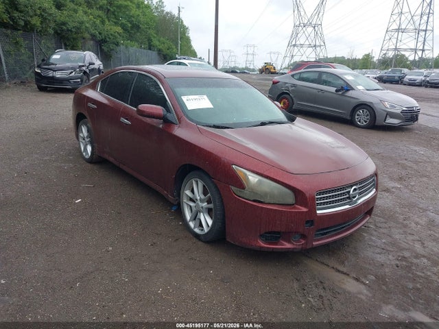 Salvage Nissan Maxima Image