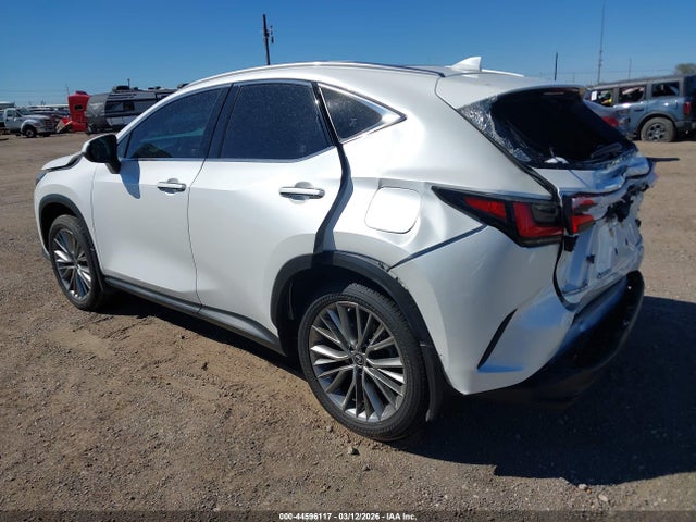 Lexus NX Luxury