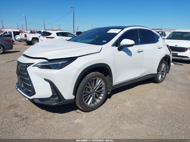 Lexus NX Luxury