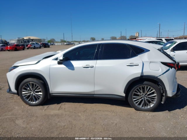 Lexus NX Luxury