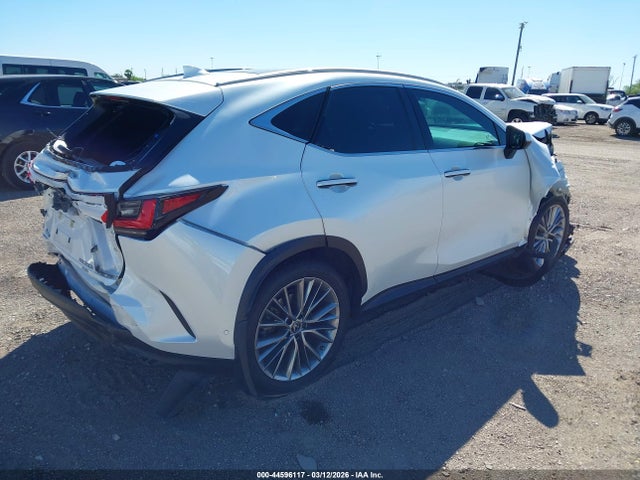 Lexus NX Luxury