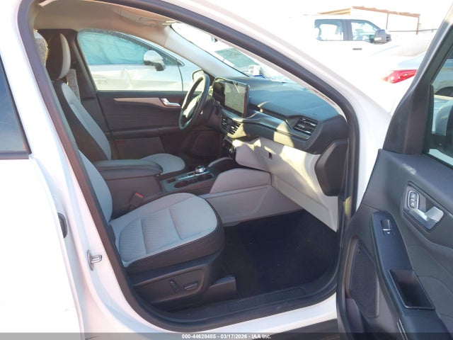 Ford Escape Active
