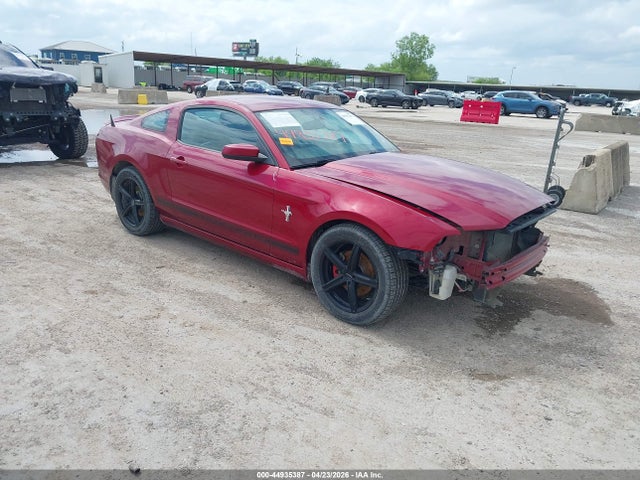 Salvage Ford Mustang Image
