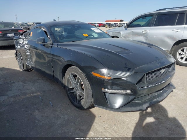 Salvage Ford Mustang Image