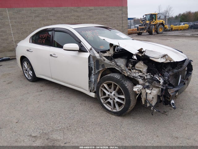 Salvage Nissan Maxima Image
