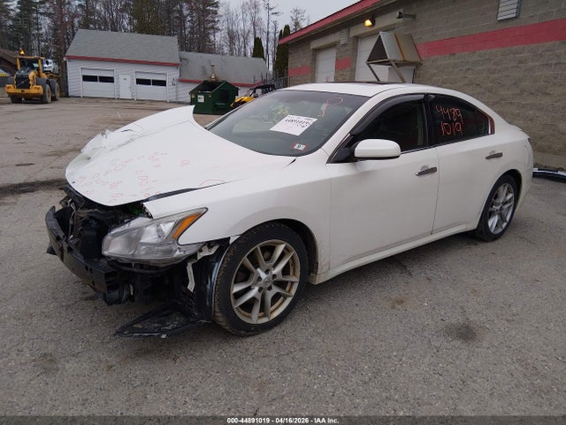 Nissan Maxima