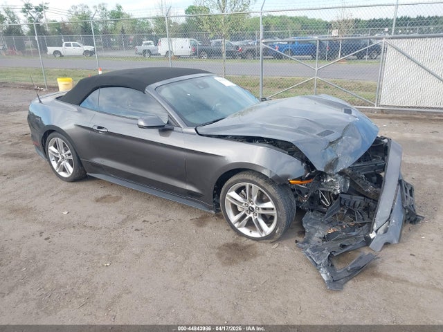 Salvage Ford Mustang Image