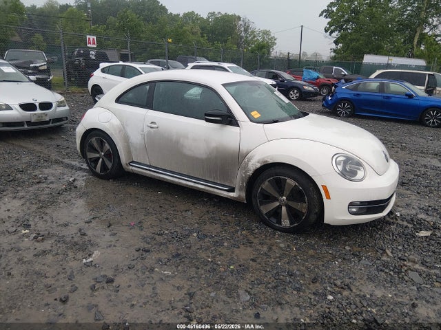Salvage Volkswagen Beetle Image
