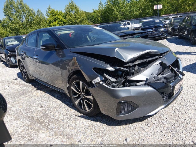 Salvage Nissan Maxima Image