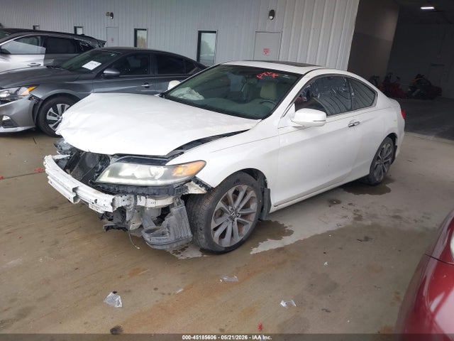 Honda Accord Ex-l V-6