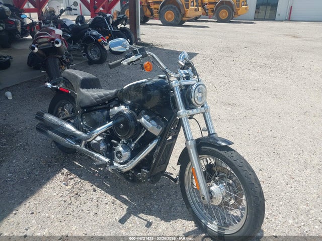Salvage Harley-Davidson Fxst Image