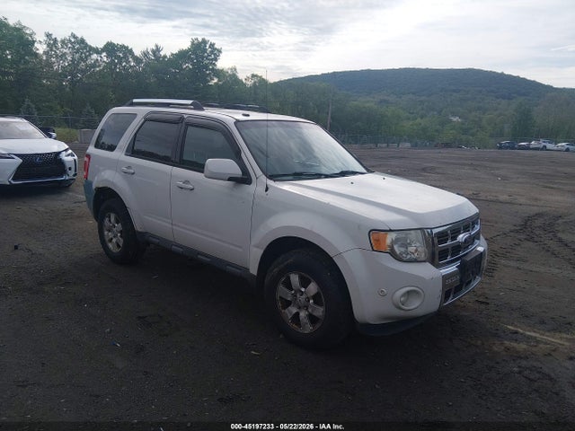 Salvage Ford Escape Image