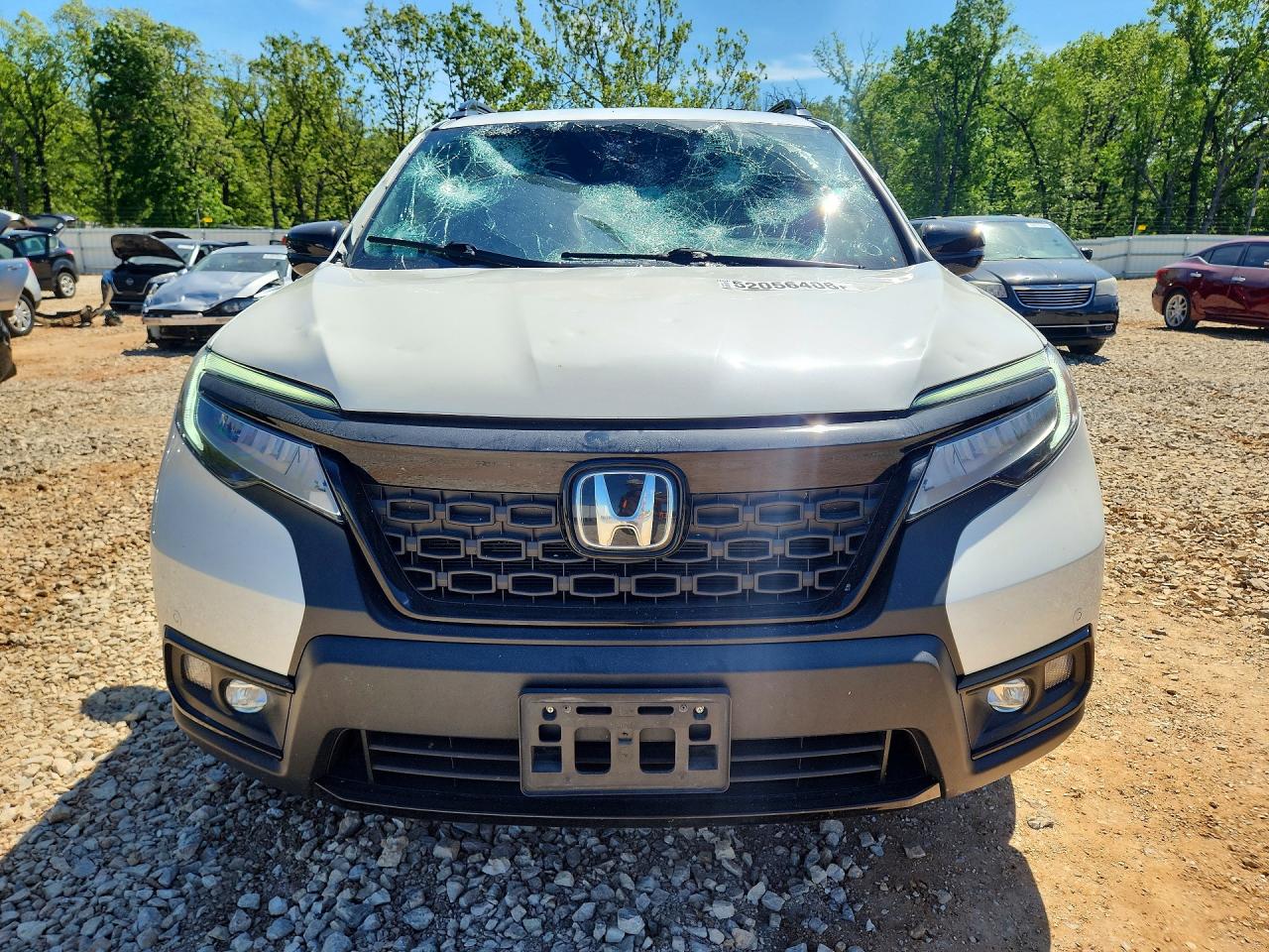 Honda Passport Elite