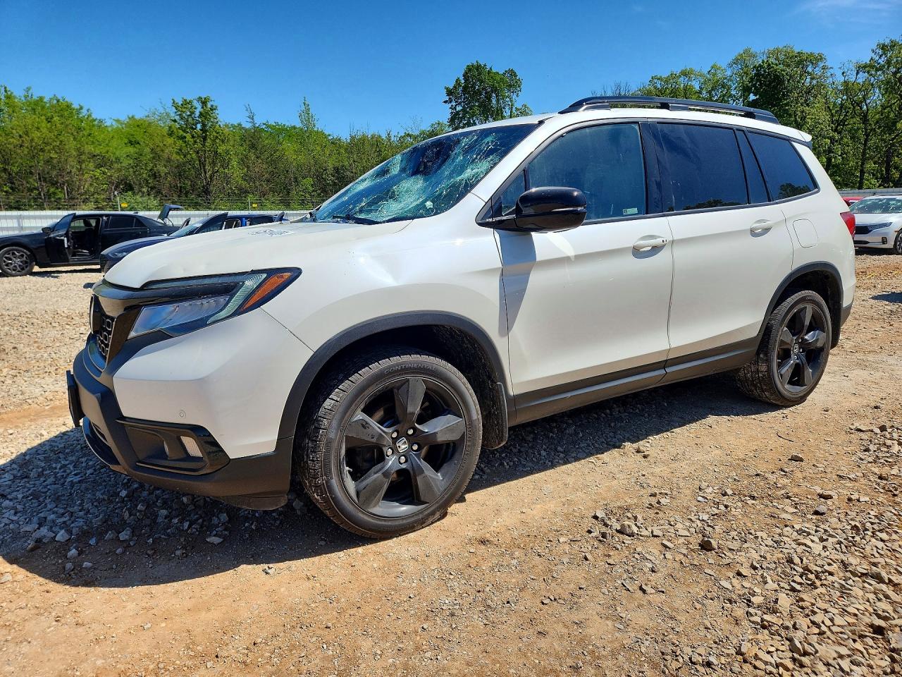 Salvage Honda Passport Image