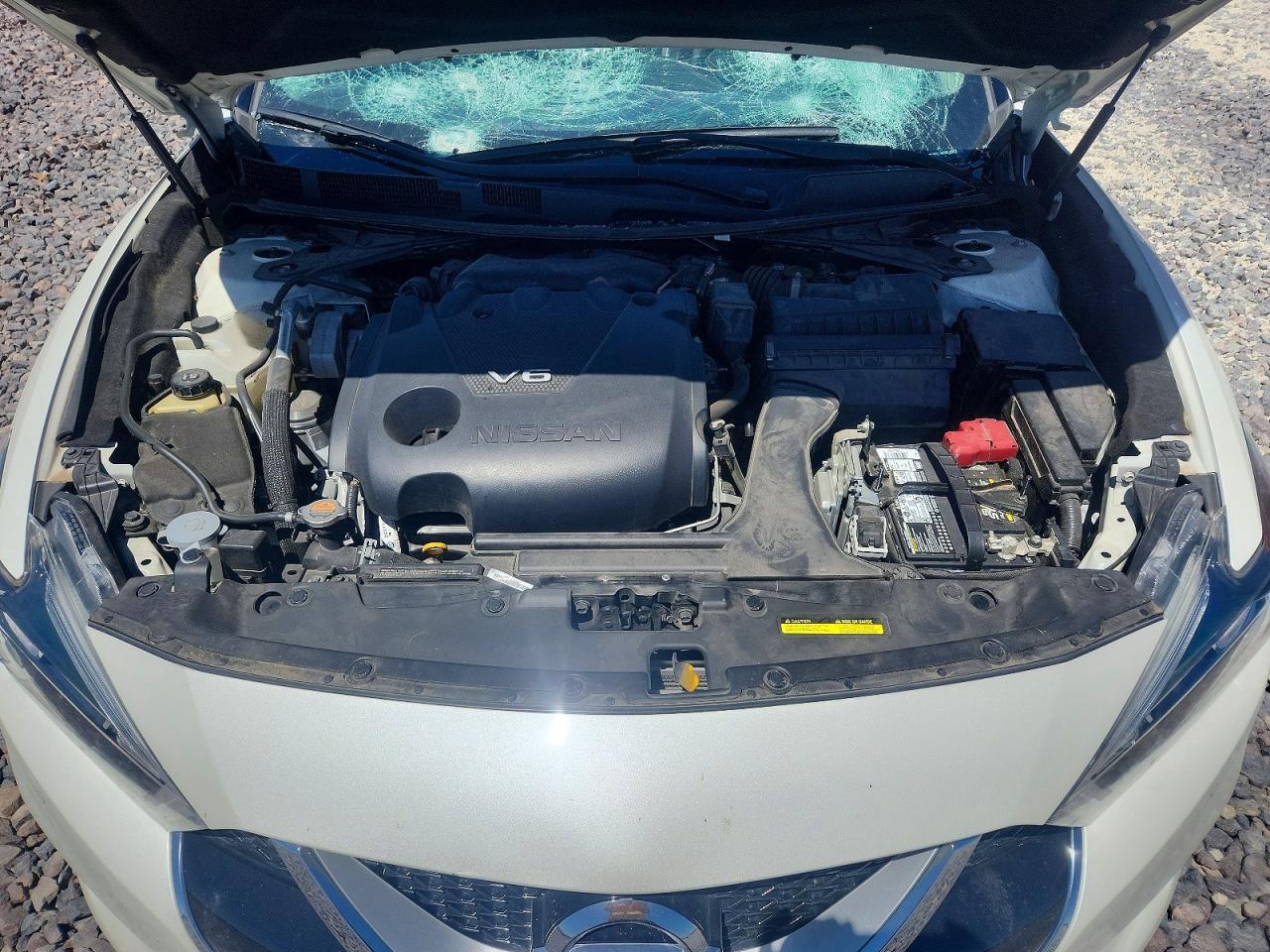 Nissan Maxima Platinum
