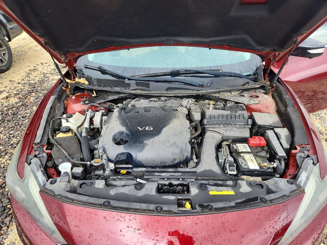 Nissan Maxima Platinum