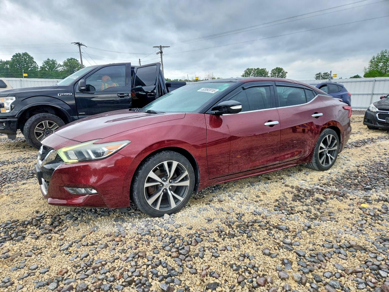 Salvage Nissan Maxima Image