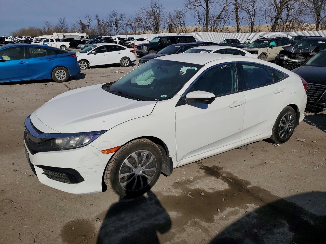 Salvage Honda Civic Image