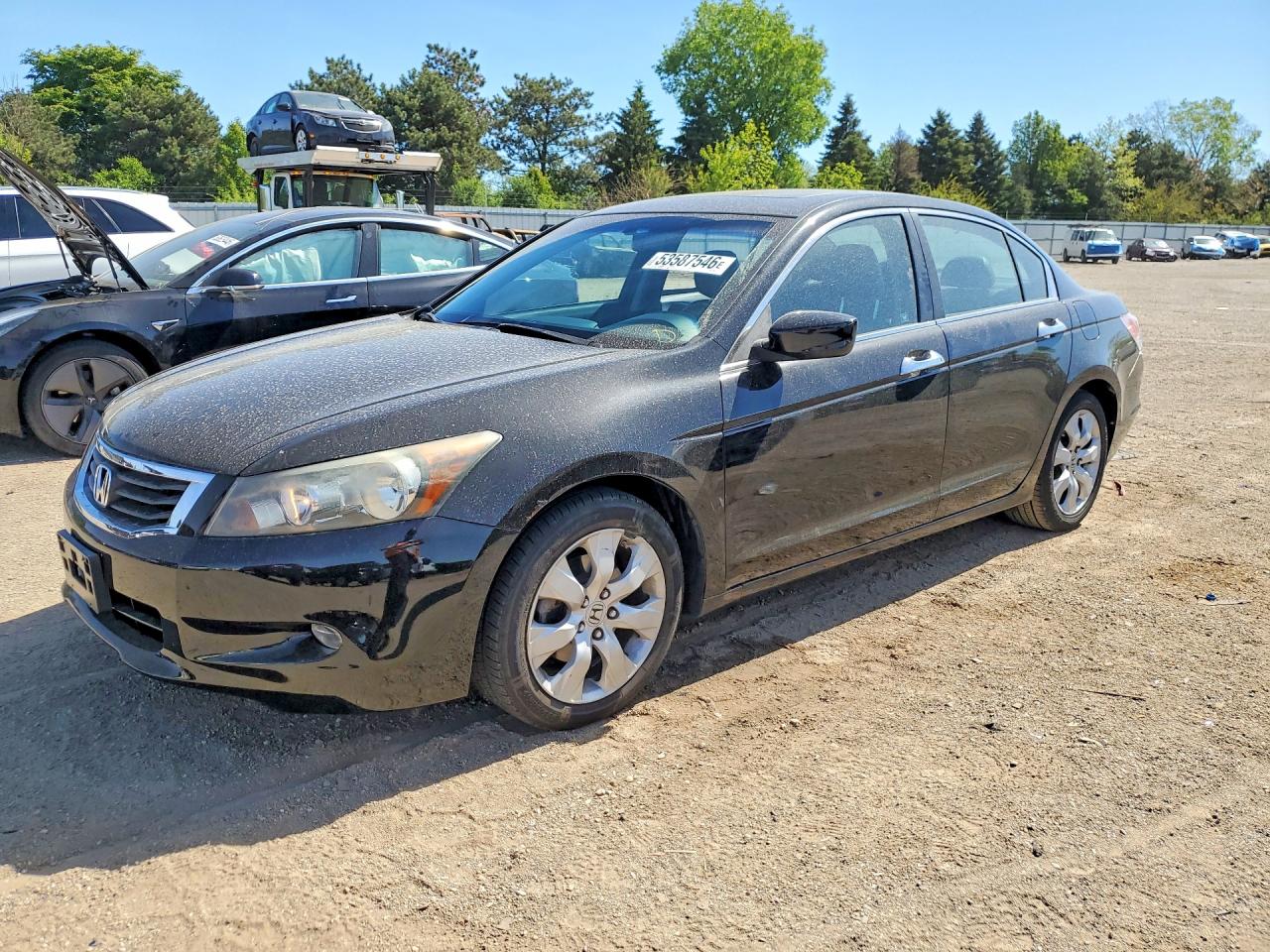 Salvage Honda Accord Image