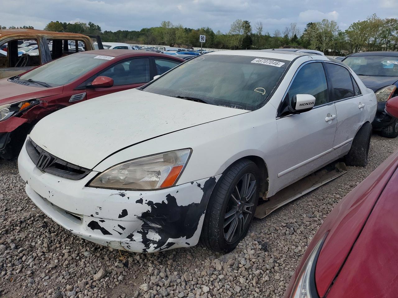 Salvage Honda Accord Image
