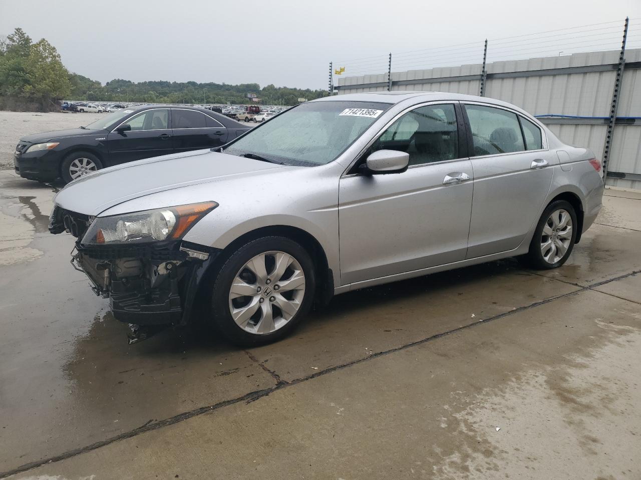 Salvage Honda Accord Image