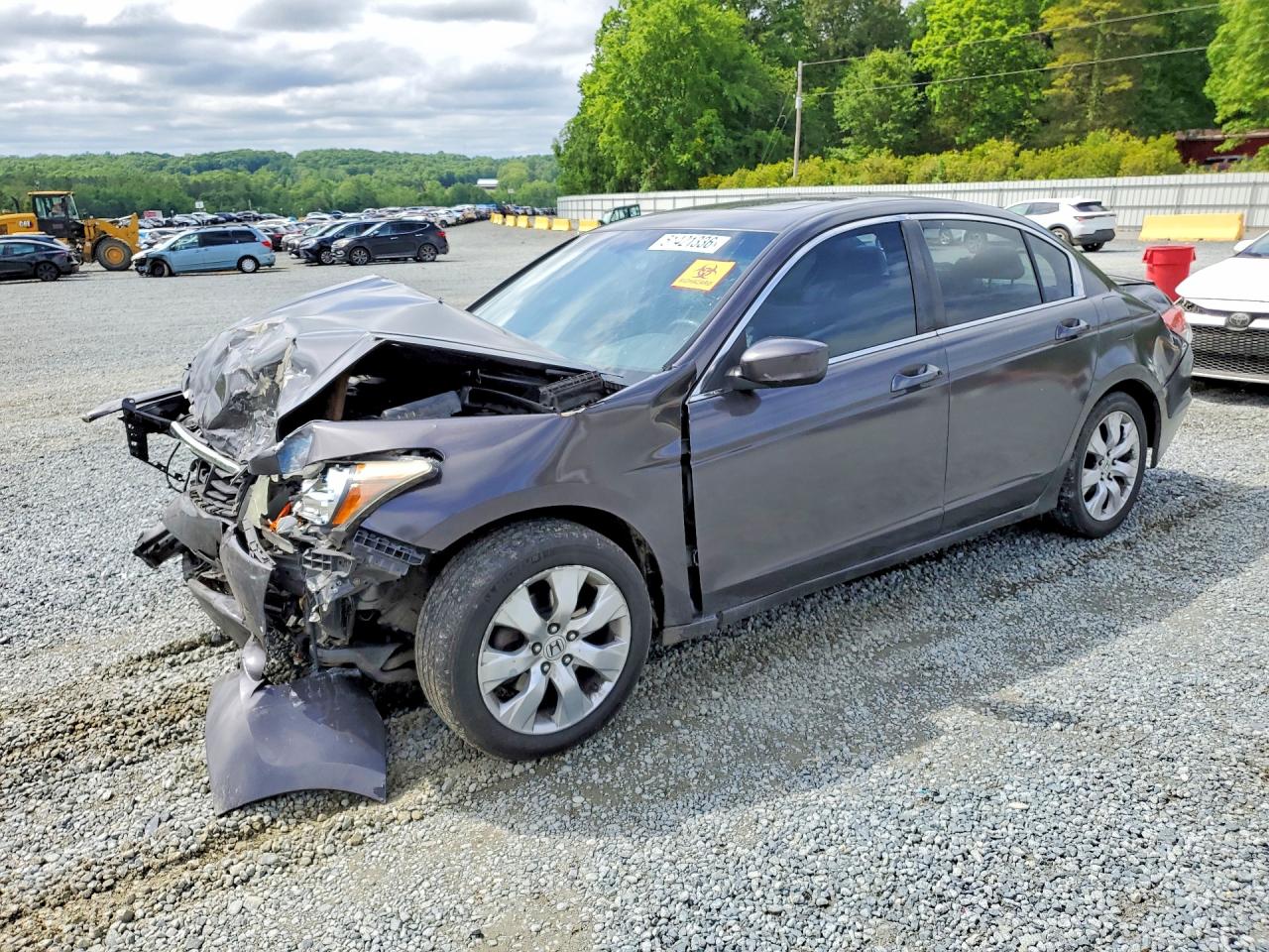 Salvage Honda Accord Image