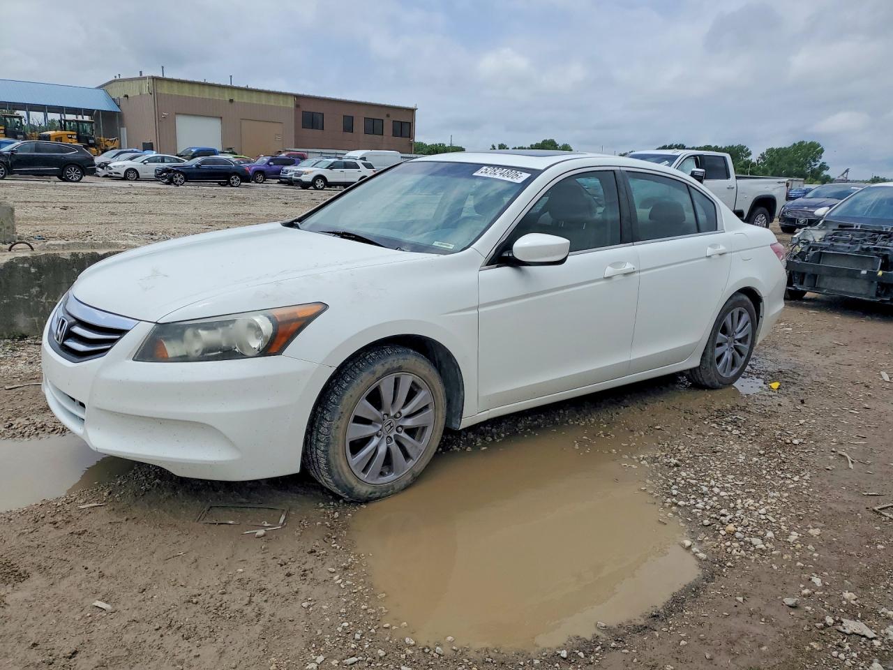 Salvage Honda Accord Image